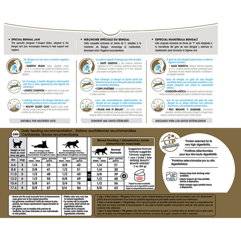 Royal Canin, Feline Breed Health Nutrition  Bengal - Dry Cat Food image number null