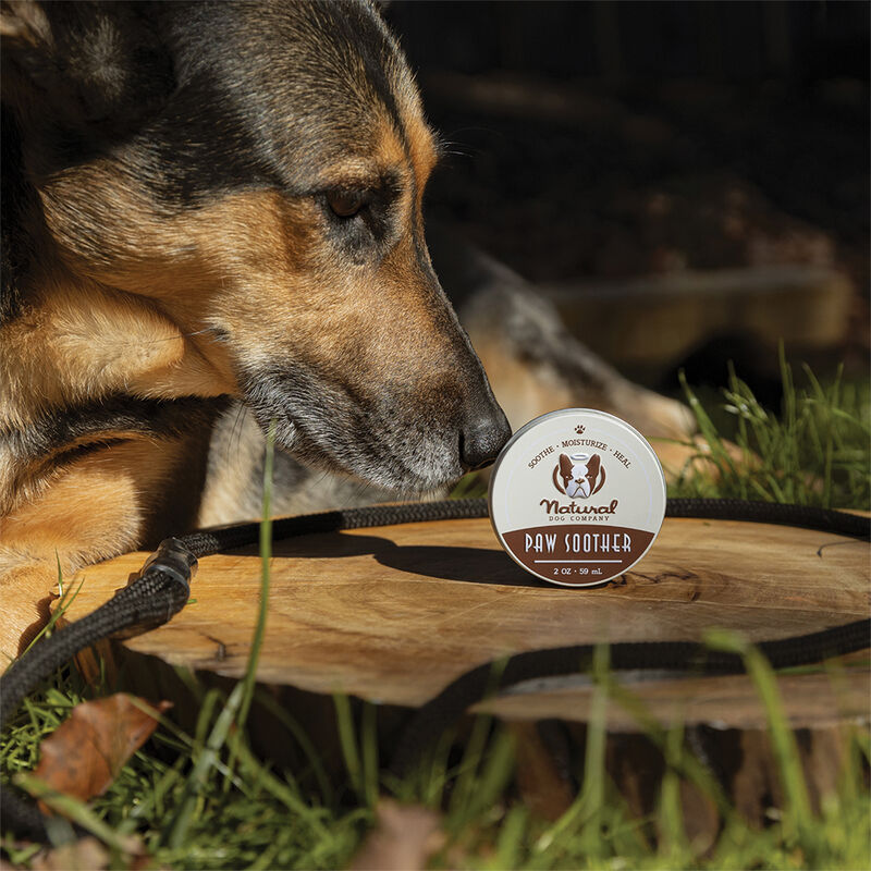 Natural Dog Company, Paw Soother Balm - 2 oz image number null