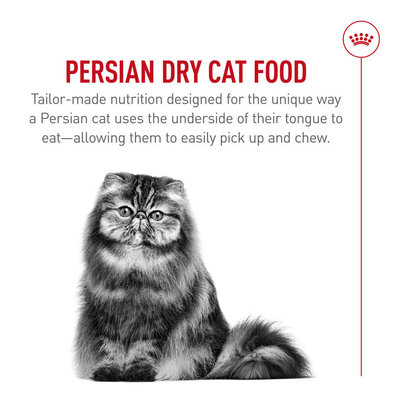 Royal Canin, Feline Breed Health Nutrition  Bengal - Dry Cat Food image number null