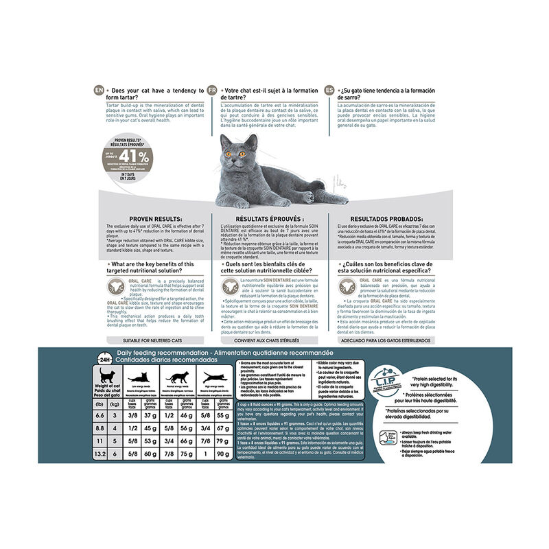 Royal Canin, Feline Care Nutrition - Dental Care - Dry Cat Food image number null