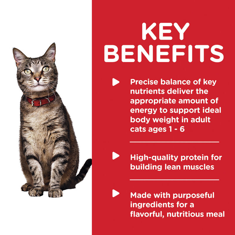 Science Diet, Adult Savory Turkey Canned Cat Food, 156 g - Wet Cat Food image number null