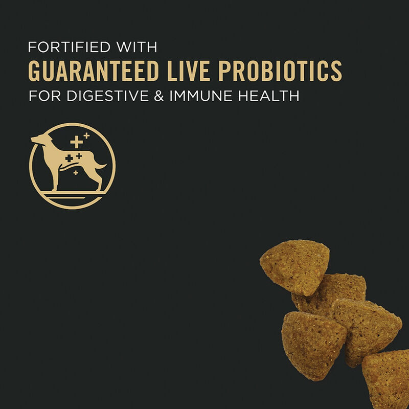 Pro Plan, Adutl Dog 7+ Chicken & Rice - Dry Dog Food image number null