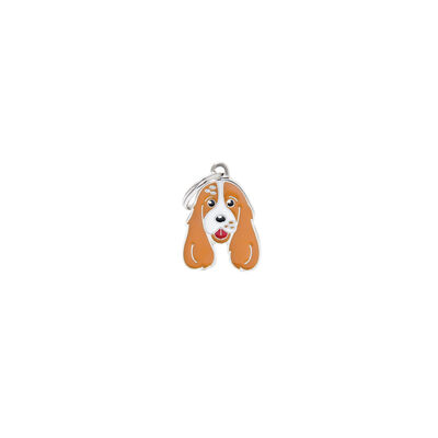 Golden Cocker Spaniel
