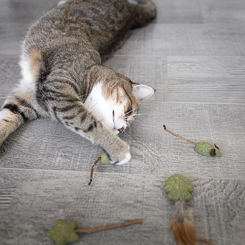 BeOneBreed, Euphoria Toy - Lucky - Chase Cat Toy image number null