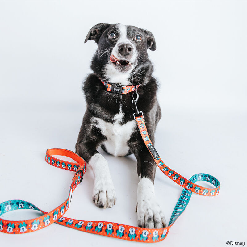 Sassy Woof, Disney Holiday Walkie Pack image number null