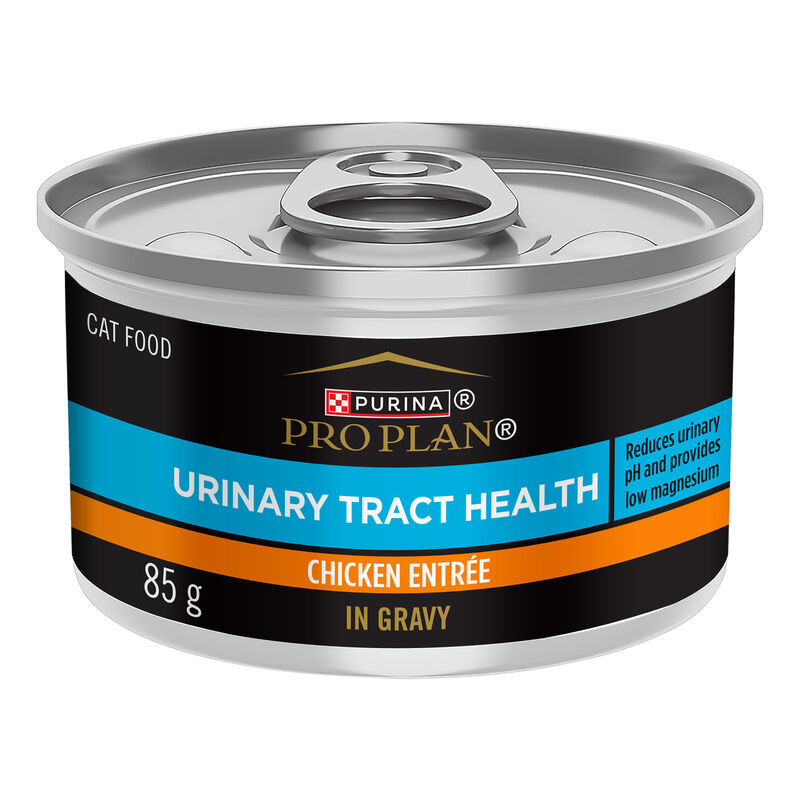 Pro Plan, Urinary Tract Health Chicken Entr&eacute;e - 85 g - Wet Cat Food image number null