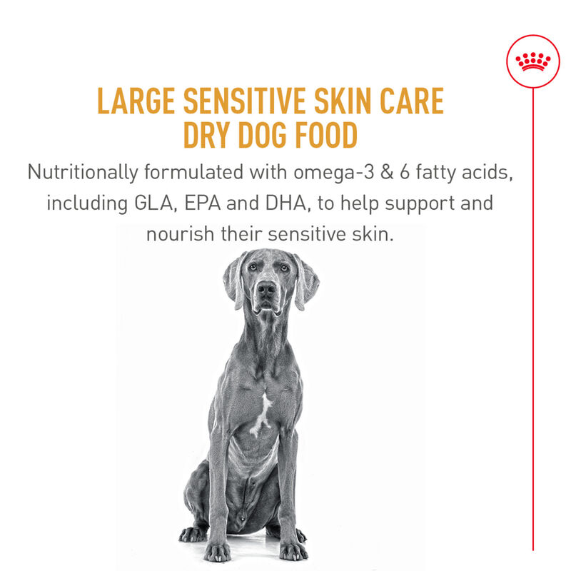 Royal Canin, Canine Care Nutrition Sensitive Skin Care Adult Large - Dry Dog Food image number null