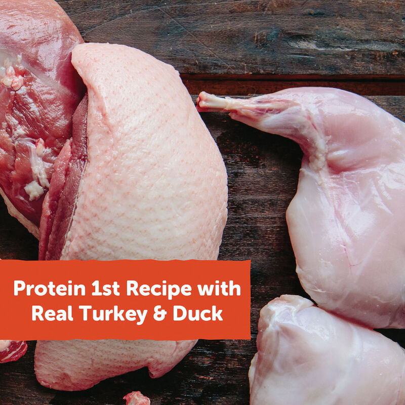 Wellness, Wellbites, Turkey & Duck Soft Dog Treats - 6 oz - Dog Treat image number null