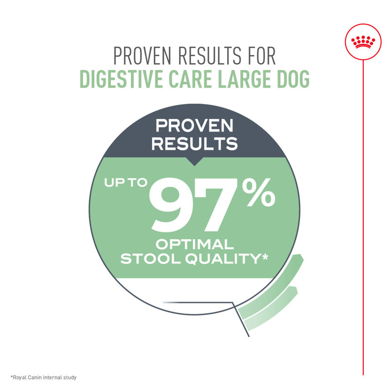 Royal Canin, Size Health Nutrition Large Digestive Care - Dry Dog Food image number null