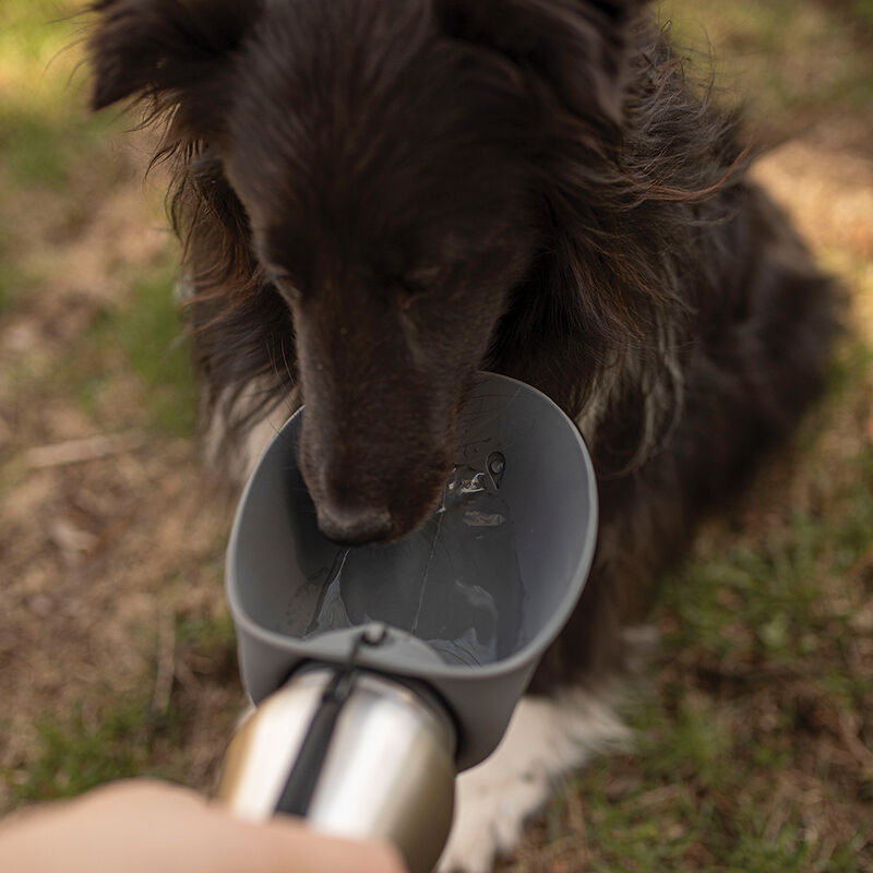 Messy Mutts, Stainless Travel Water Bottle with Flip Up Bowl 700ml - Grey image number null