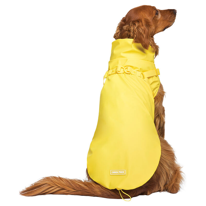 Canada Pooch, Harness Raincoat - Yellow image number null