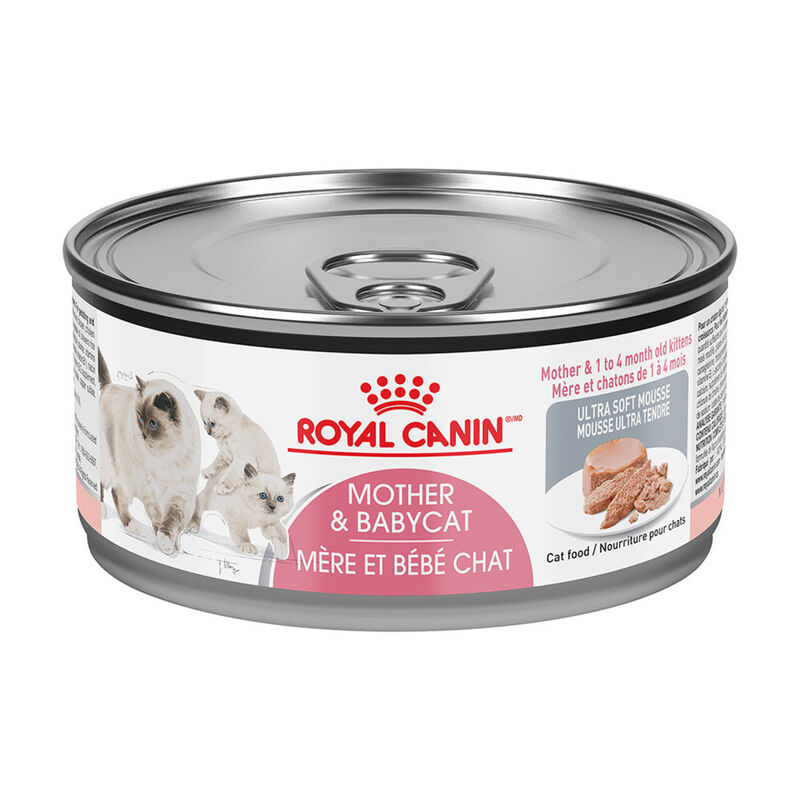 Royal Canin, Can Feline Mother & Babycat Instinctive  - 85 g - Wet Cat Food image number null