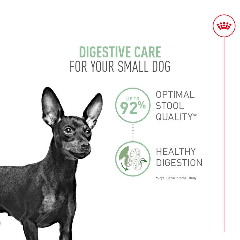 Royal Canin, Size Health Nutrition Small Digestive Care - Dry Dog Food image number null