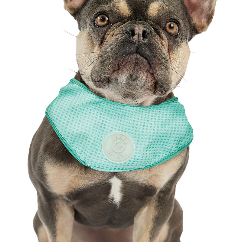 GF Pet, Ice Band Aqua image number null