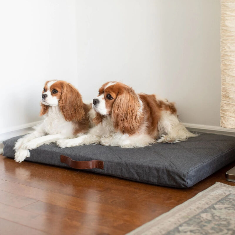 Orthopedic Hybrid Bed, S image number null