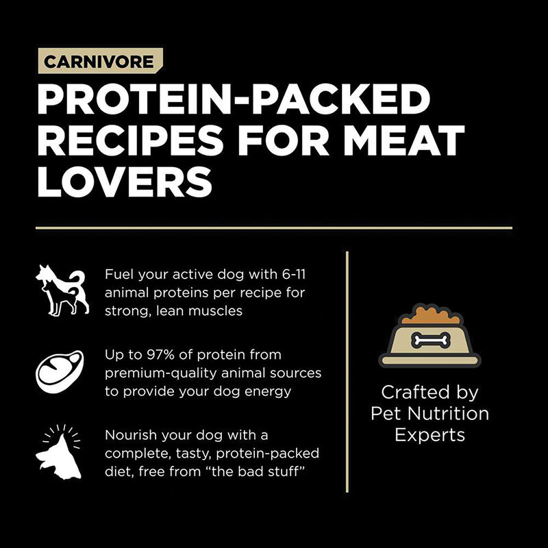 GO! SOLUTIONS CARNIVORE Grain Free Lamb + Wild Boar Recipe for dogs image number null