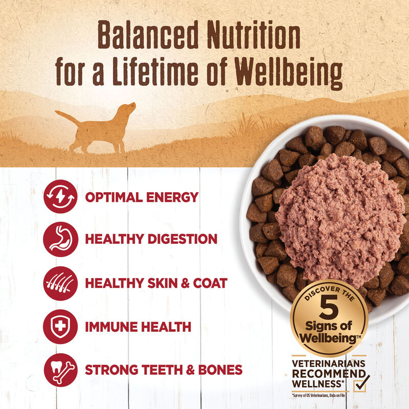 Wellness, Canned Dog Food, Mixers & Toppers, 95% Beef - 13 oz - Wet Dog Food image number null