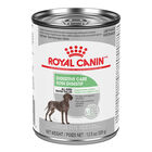 Royal Canin, Canine Care Nutrition Digestive Care Adult Loaf in Sauce - Wet Dog Food image number null