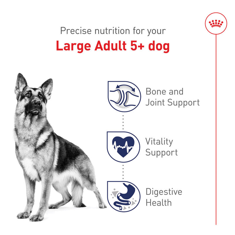 Royal Canin, Size Health Nutrition Large Adult 5+ - 13.6 kg - Dry Dog Food image number null
