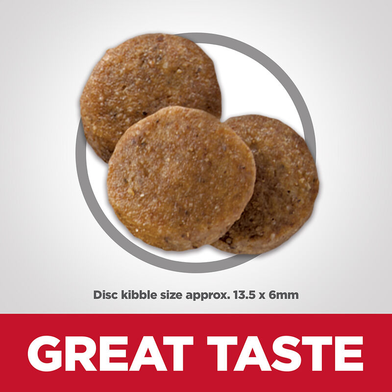 Science Diet, Adult Sensitive Stomach & Skin Large Breed Chicken Recipe Dry Dog Food - Dry Dog Food image number null