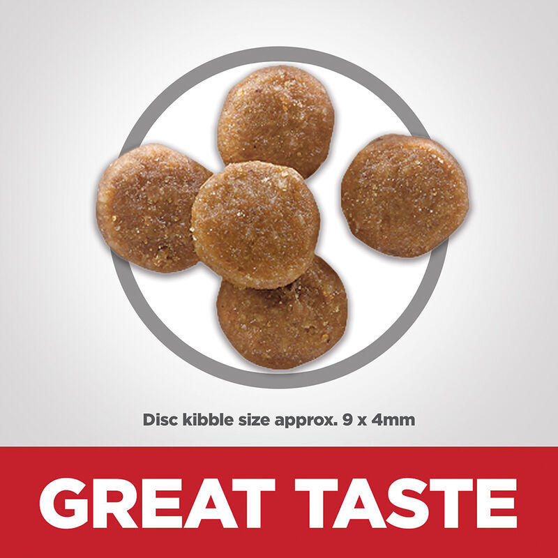 Science Diet, Feline Adult - Perfect Digestion Chicken - Dry Cat Food image number null