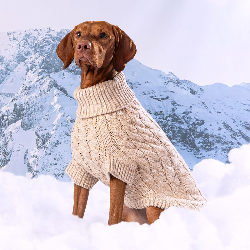 GF Pet, Chalet Sweater - Oatmeal image number null