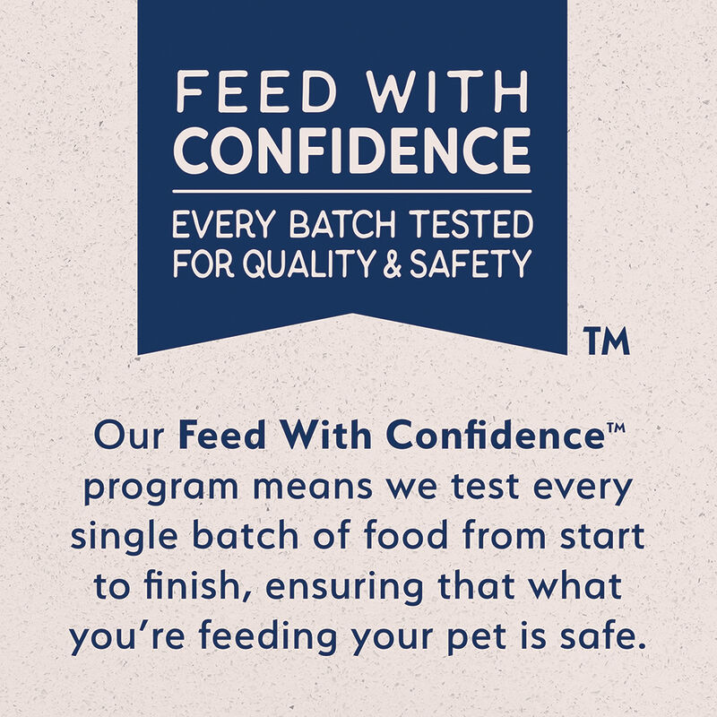 Natural Balance, Limited Ingredient Canned Dog Formula, Duck & Potato - 369 g - Wet Dog Food image number null