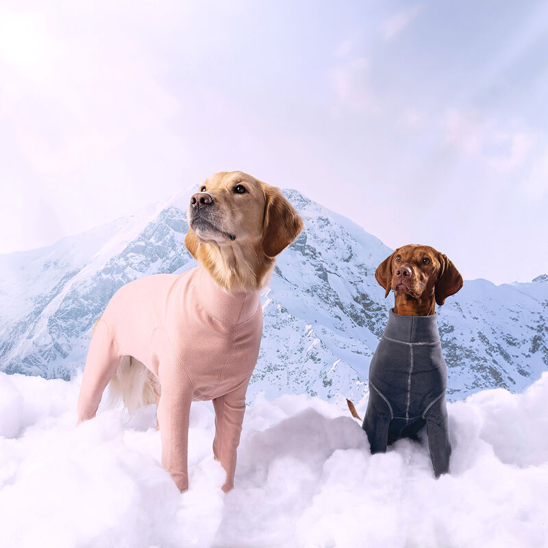 GF Pet, Gondola Onesie - Charcoal image number null