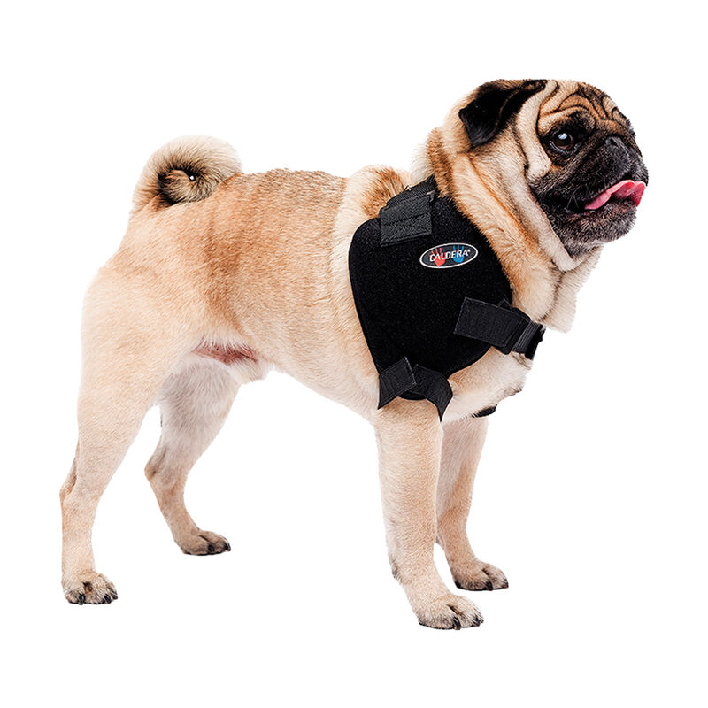 Caldera, Pet Therapy - Shoulder Wrap w/ Therapy Gel image number null