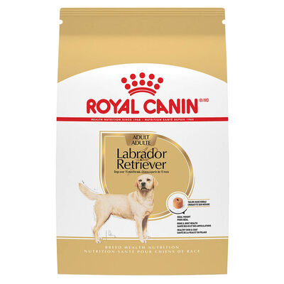 Royal Canin, Breed Health Nutrition Labrador Retriever Adult - Dry Dog Food