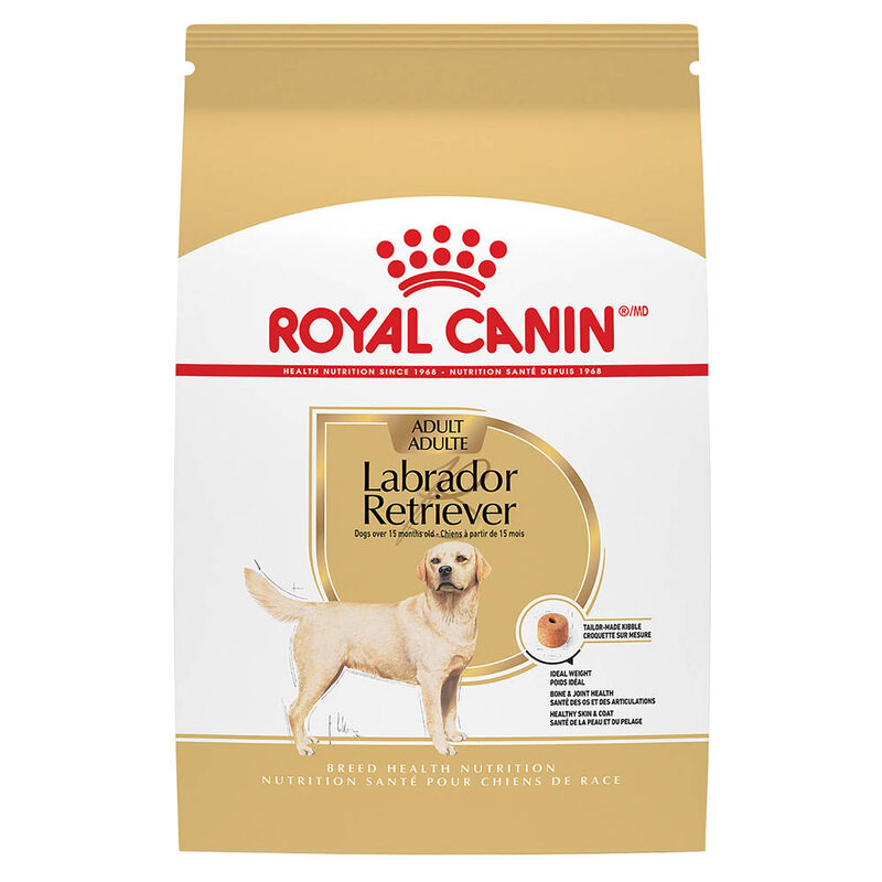 Royal Canin, Breed Health Nutrition Labrador Retriever Adult - Dry Dog Food image number null