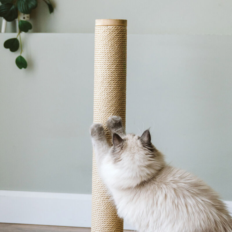 BeOneBreed, Modular Paper Rope Scratcher image number null