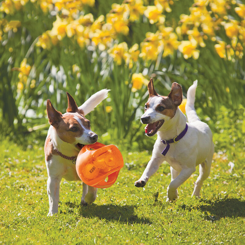 KONG, Dog Jumbler Ball - Large/X-Large - Toss Dog Toy image number null