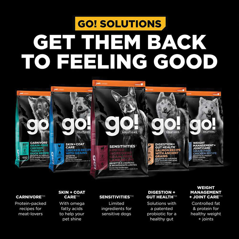 GO! SOLUTIONS, SENSITIVITIES Limited Ingredient Grain Free Lamb Recipe for dogs - Dry Dog Food image number null