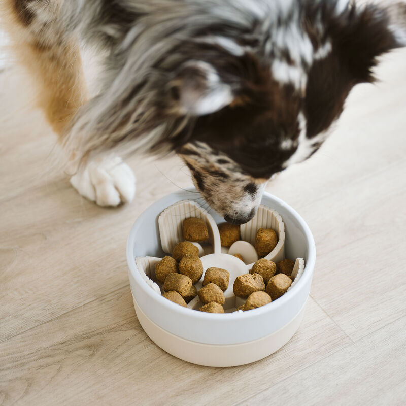 BeOneBreed Ceramic and Silicone Bowl image number null