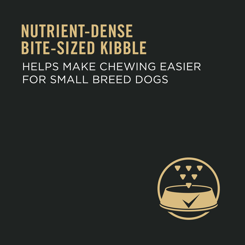 Purina Pro Plan Specialized Small Breed Adult, Chicken & Rice Dry Dog Food 8.16kg image number null