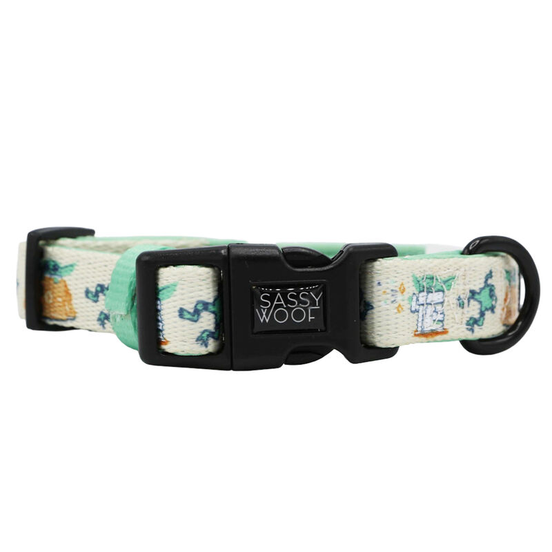 Sassy Woof, Star Wars Collar and Leash Set for Dogs - Small image number null