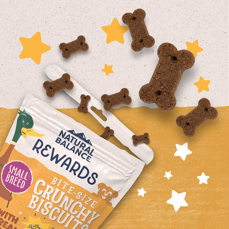 Natural Balance, Limited Ingredient Dog Treats Small Breed, Potato & Duck - Dog Biscuit image number null