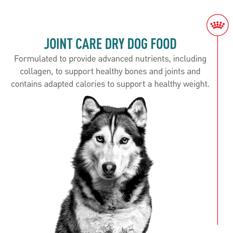 Royal Canin, Size Health Nutrition Large Joint Care - Dry Dog Food image number null
