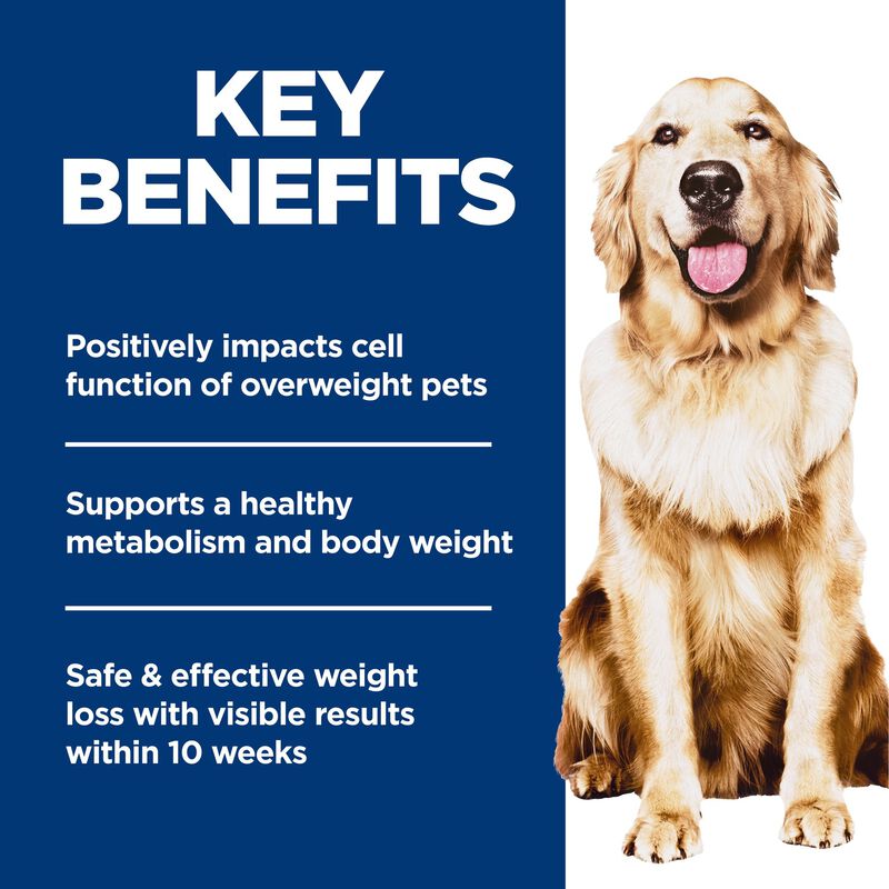 Science Diet, Adult Perfect Weight Chicken Recipe - Dry Dog Food image number null