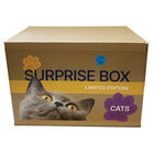 Surprise Box - Cat image number null