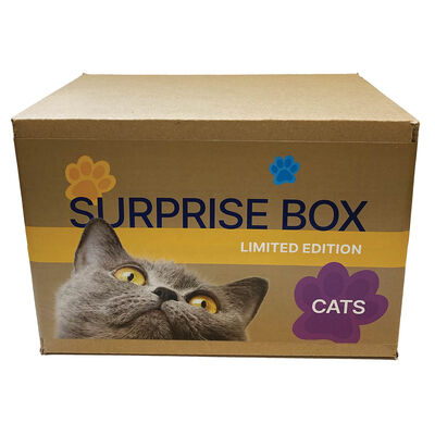 Surprise Box - Cat
