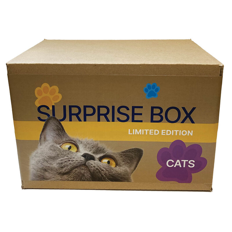 Surprise Box - Cat image number null