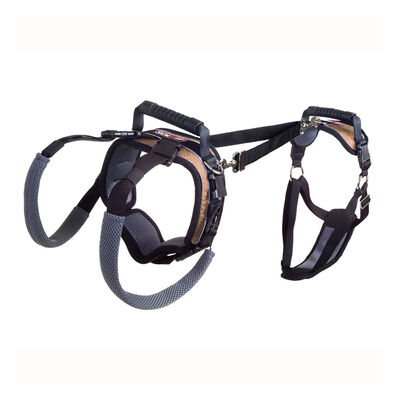 PetSafe, CareLift Harness, Full Body