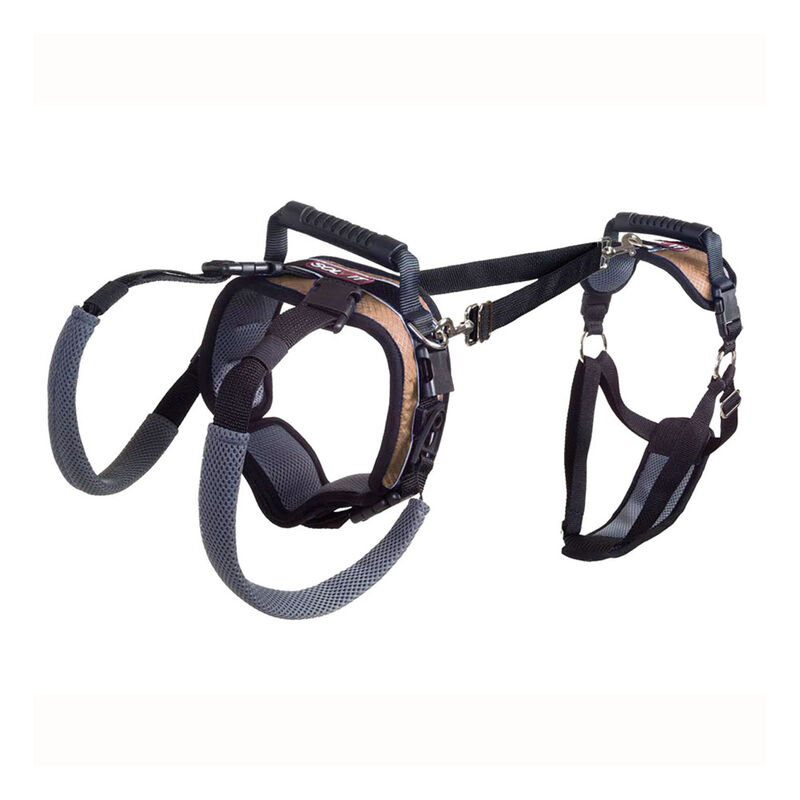 PetSafe, CareLift Harness, Full Body image number null