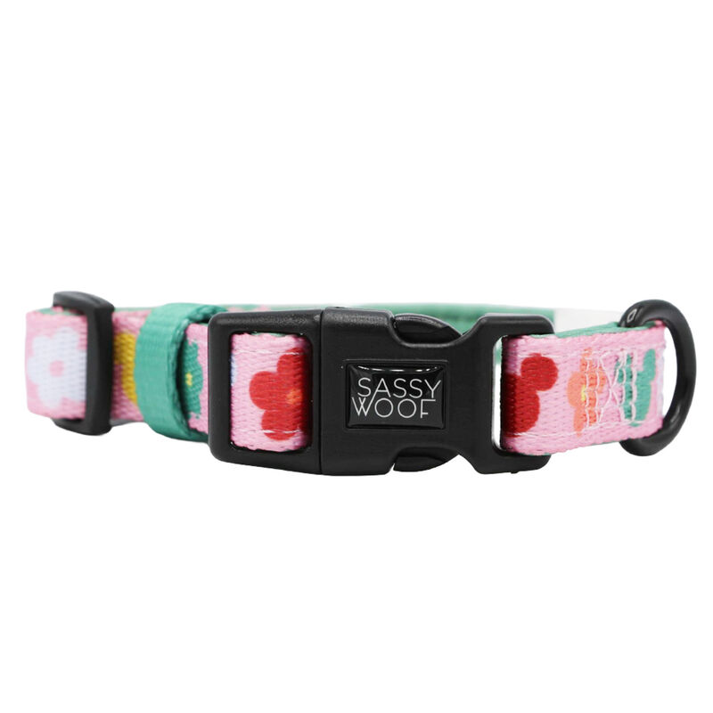 Sassy Woof, Minnie Mickey Collar and Leash Set for Dogs - Small image number null