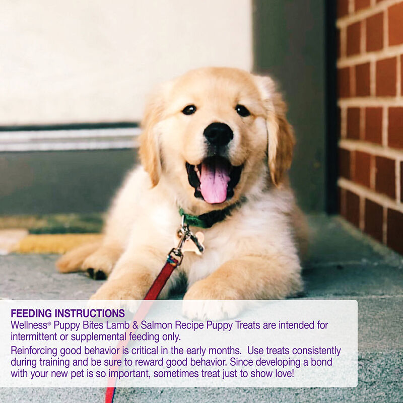Wellness, Puppy Soft Bites - Lamb & Salmon - 227 g - Dog Treat image number null