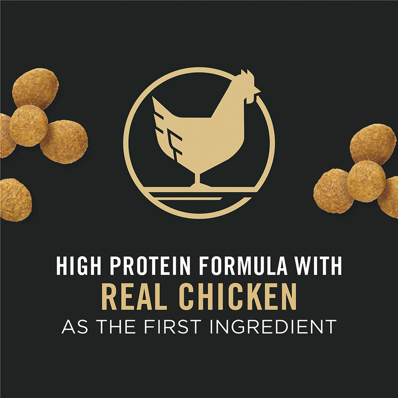 Purina Pro Plan Development Under Two Years Puppy, Large Breed Dry Dog Food Formula 8.16kg image number null