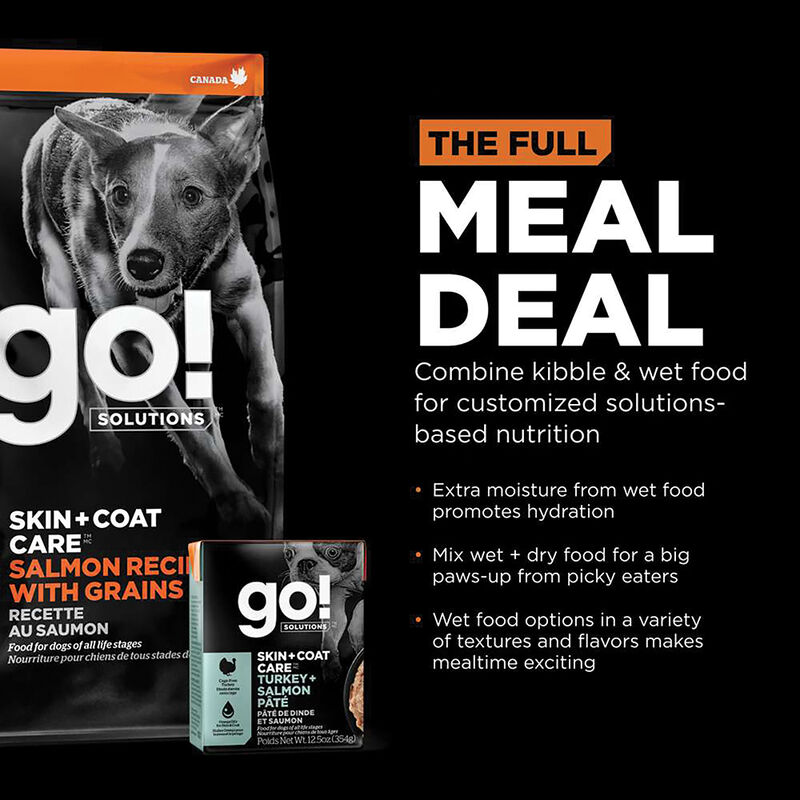 GO! SOLUTIONS SKIN + COAT CARE Salmon Recipe for dogs image number null