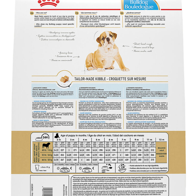 Royal Canin, Breed Health Nutrition Bulldog Puppy - Dry Dog Food image number null